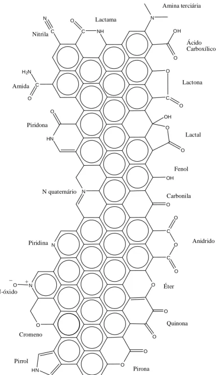 Figura 12. Principais grupos funcionais encontrados na superfície dos carvões.   Fonte: FERNANDES (2005) 