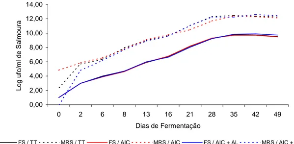 FIGURA 13. Representação gráfica da contagem bactérias láticas (Log U.F.C./ml de  salmoura)  durante a fermentação lática de couve-flor