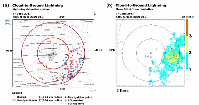 Figura 3.7: (a) raios observados pelo sistema de deteção durante o período entre 1200 UTC e 2359 UTC e (b) densidade de raios do tipo nuvem-solo produzidos pelo modelo, entre