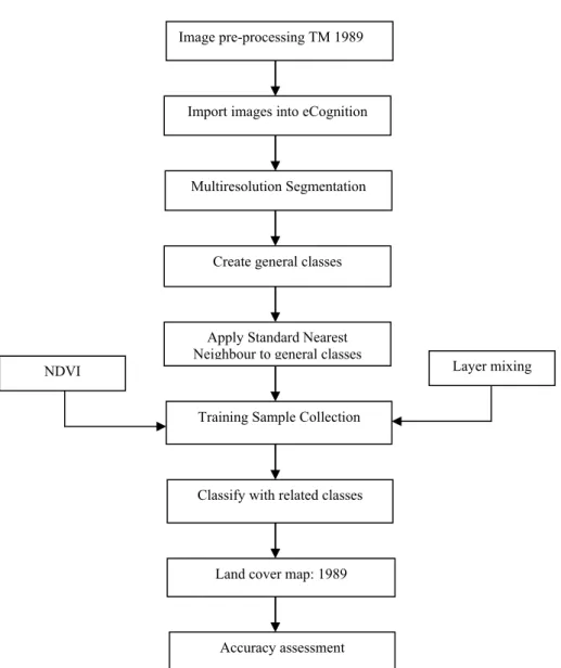 Figure 5: Image classification methodology  Image segmentation and classification  