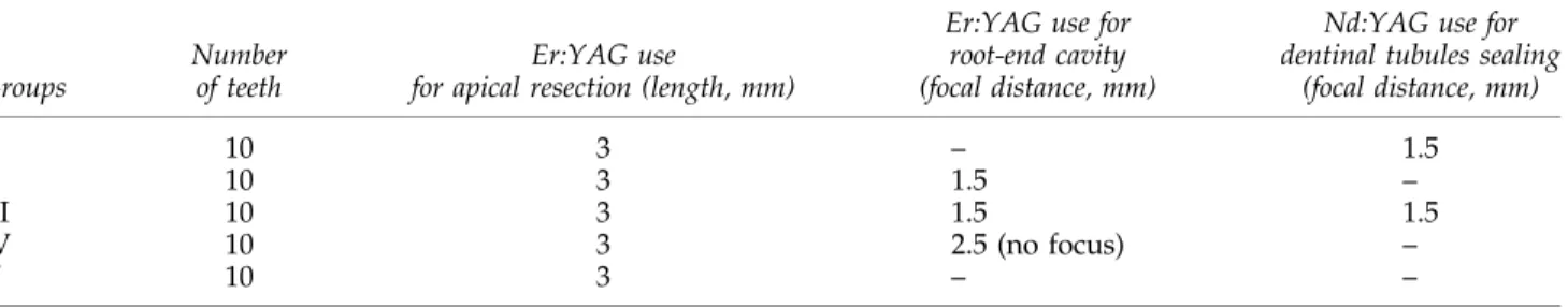 Table 2. Experimental Procedures and Laser Parameters