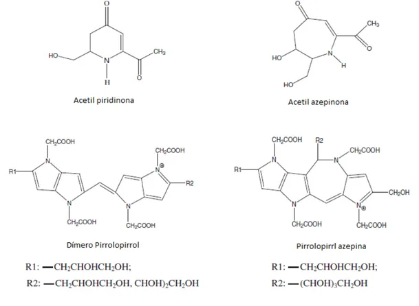 Figura I.1: Exemplos de moléculas de melanoidinas obtidas no sistema glicina- glicina-glicose (adaptado de: WANG; QIAN; YAO, 2011)