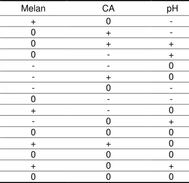 Tabela III.2: Ordem e níveis avaliados para cada parâmetro 8