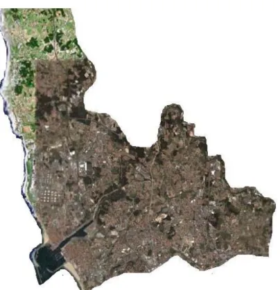 Figura 6 – Imagem que retrata a ocupação do solo do concelho de Matosinhos (adaptado: Google  Earth, 2006) 