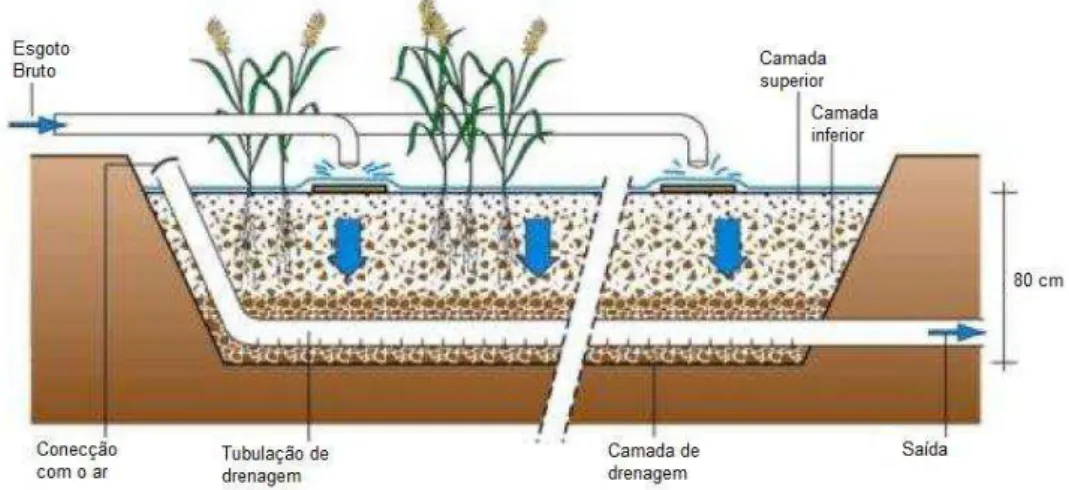 Figura 3.4: Exemplo de SACV tratando esgotos domésticos brutos, variante francesa.    Fonte: Adaptado de MOLLE et