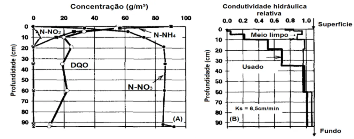 Figura 3.6: Resultados das análises de (A) perfis de concentração de DQO, N-NH 4 + , N-NO 2 -