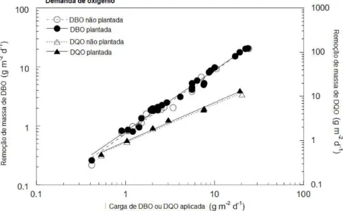 Figura 3.8: Comparação entre a carga e a remoção de DBO e DQO para SACH plantados e  não plantados