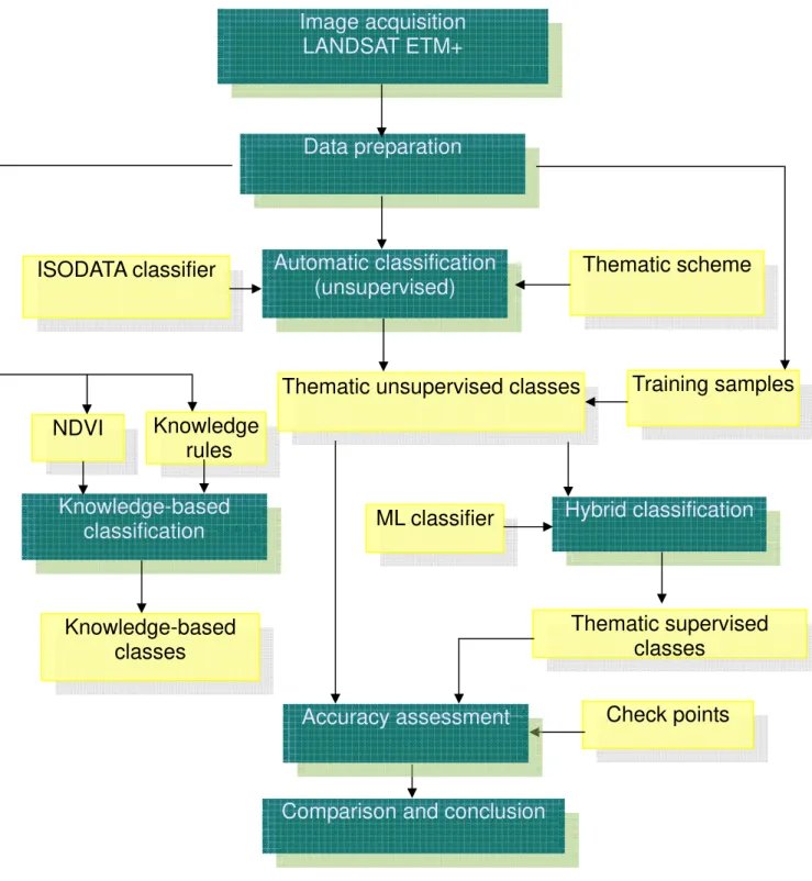 Figure 3.  Work flow of the analysis of wetland habitat types in Tram chim National  Park Automatic classification(unsupervised)  Thematic scheme ISODATA classifier Image acquisition LANDSAT ETM+ Data preparation Knowledge-based classification Knowledge  r