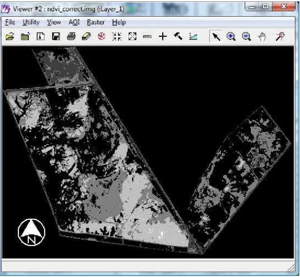Figure 6. NDVI image  