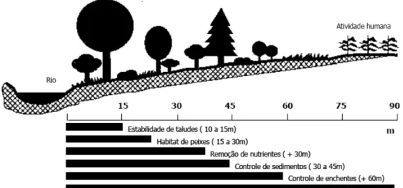 Figura 3: Larguras ideais para as funções da zona ripária. 