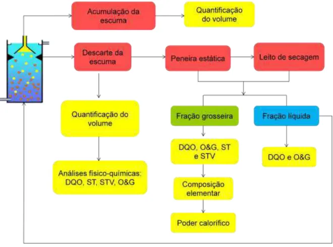Figura 5.3 - Fluxograma das etapas metodológicas para os testes relacionados à remoção,  tratamento e valoração do subproduto escuma  