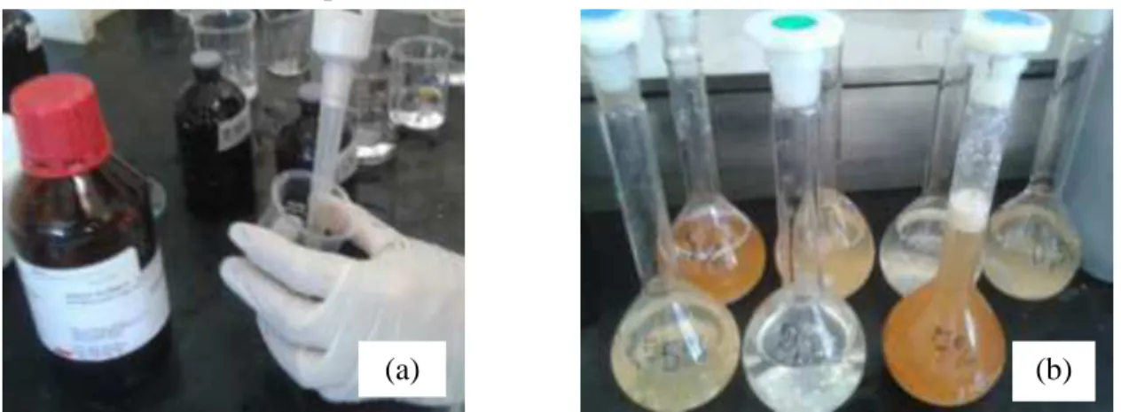 Figura 6.8: Enzimas empregadas nos testes de hidrólise e biodegradabilidade anaeróbia da  escuma: a) Lipolase 100L e b) enzima obtida de Carica papaya 