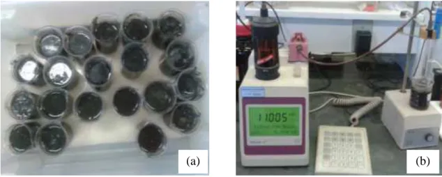 Figura 6.9: Montagem dos ensaios de hidrólise enzimática da escuma por 24 horas: a) frascos  e b) titulador automático  