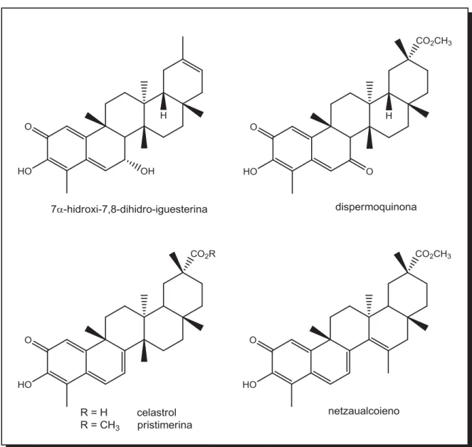 Figura 5 — Exemplos de triterpenos  quinonametídeos  com seus diferentes  sistemas de conjugação