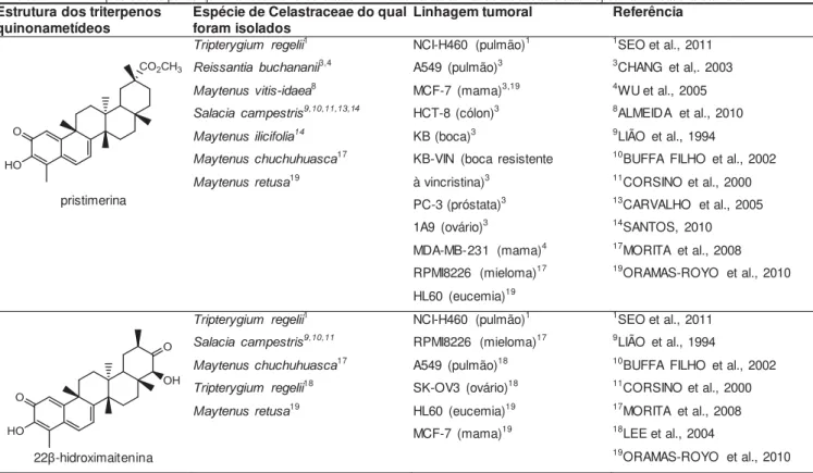 Tabela 1 — Exemplos de triterpenos quinonametídeos  encontrados  em membros da família  Celastraceae  e sua respectiva  atividade  antitumoral  in vitro