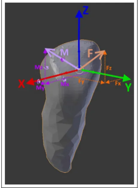 Figure 9. Representation of the total displacements induced in the mandibular (a) and maxillary (b) structures at the end of the FEM simulation process.