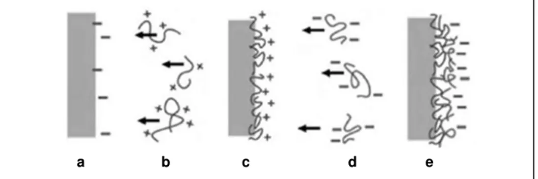 Figura 2. Representação esquemática do processo LbL. (a) substrato com carga negativa,  (b)  policátion,  (c)  adsorção  do  policátion  no  substrato  formando  a  primeira  camada,  (d)  poliânion e (e) poliânion adsorvido na camada de policátion formand