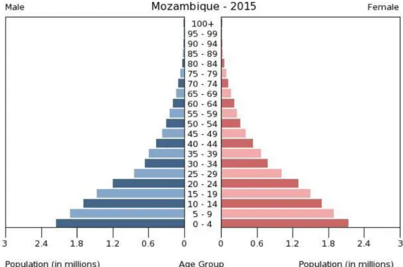 Figure 5 | Population pyramid from Mozambique, 2014. 