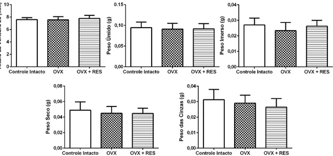 Figura 6: Representação gráfica dos valores de parâmetros biométricos das quintas vértebras lombares dos  animais dos diferentes grupos experimentais: Controle Intacto (INT), Controle Ovariectomizado (OVX) e  Ovariectomizado +  Resveratrol (OVX + RES), res