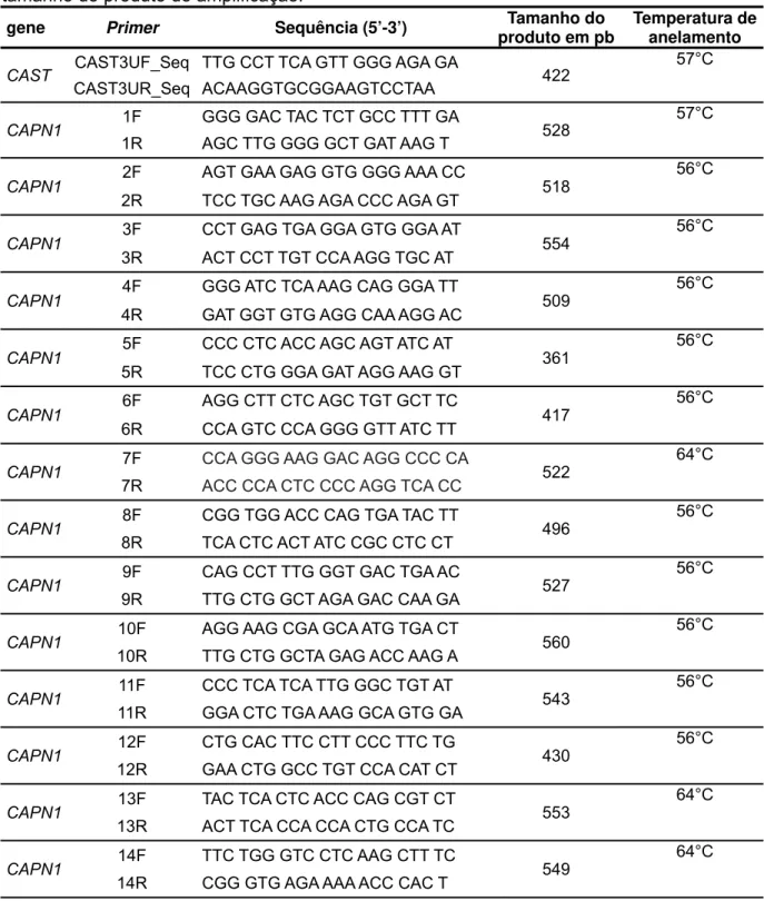 Tabela 3. Primers utilizados para o sequenciamento de fragmentos do gene CAPN1 e CAST,  tamanho do produto de amplificação