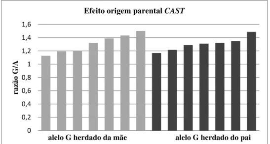 Figura 5. Razão da expressão alélica G/A do SNP g.2959A&gt;G do gene CAST em  amostras de músculos de animais Nelore, de acordo com a origem parental do alelo 