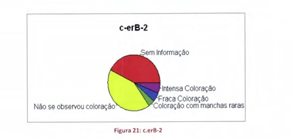 Figura  21: c.erB-2