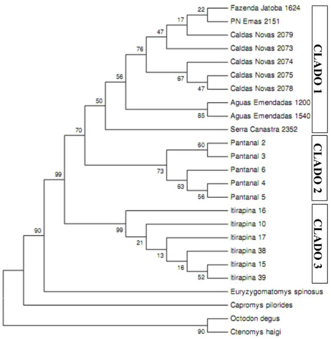Figura  1.3.  Topologia  da  árvore  consenso  obtida  através  do  método  de  Neighboor  Joining  após  10.000  replicações