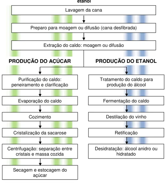 Figura 2.1  –  Etapas do processamento industrial da cana-de-açúcar para produção do açúcar e  etanol 