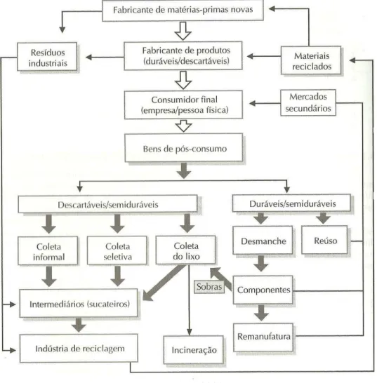 Figura 4 - Canais de Distribuição de Pós Consumo Diretos e Reversos 