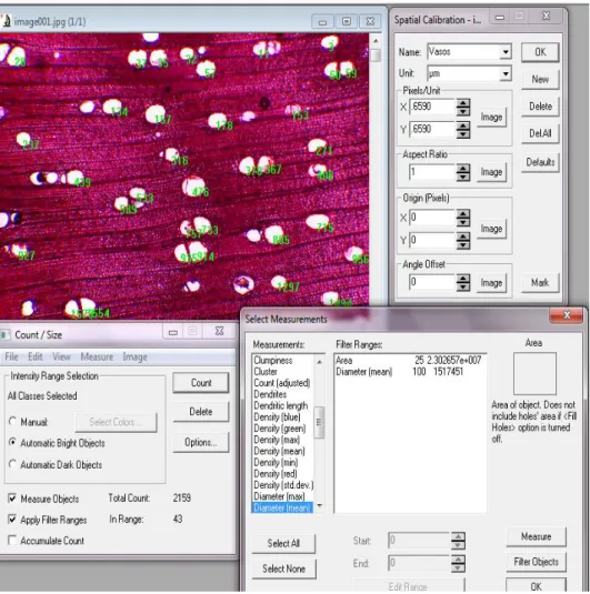 Figura 11: Utilização do  programa de análise de imagem Image Pro Plus. 