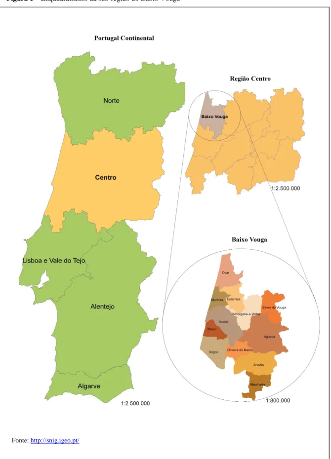 Figura 1 – Enquadramento da sub-região do Baixo Vouga 
