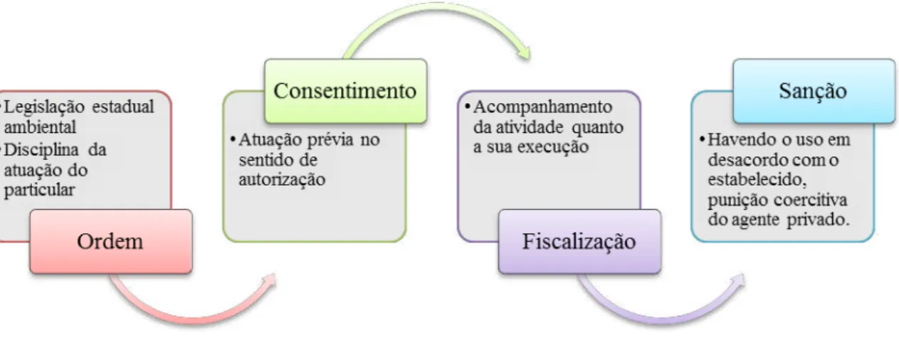 Figura 3. Fluxograma dos elementos do acompanhamento em Minas Gerais  Fonte: Dados da pesquisa 