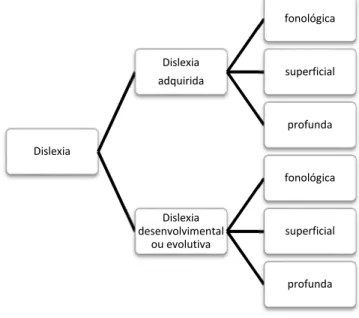 Figura 2 – Os subtipos da Dislexia Adquirida. 
