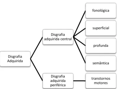 Figura 11 - Os subtipos da Disgrafia Adquirida. 