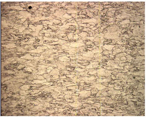 Figure  4.  Micrograph featuring typical microstructures found for the as-received (as-cold-rolled)  samples for Ti-stabilized IF steel substrate (optical microscope, magnification: 100X) 