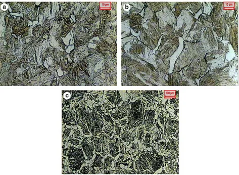 Fig. 3. Photomicrographs of Nb microalloyed steel samples, continuous cooled in air after: (a) austenitizing at 900 ° C and quenched at 755 ° C;