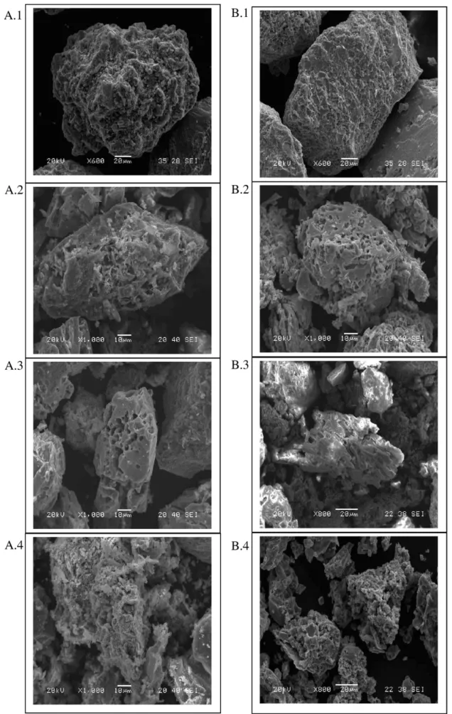 Fig. 10. Particles of zinc-containing phases for the high- (A) and low-iron (B) concentrates