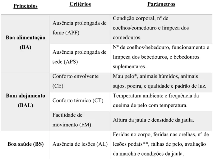 Tabela 1: Resumo do protocolo do BEA dos coelhos de engorda WQ ®  (adaptado de WQ ® 2018, tradução livre) 