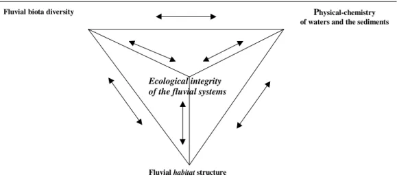 Figure 1 – The end terms and the integration of the fluvial ecomorphology.