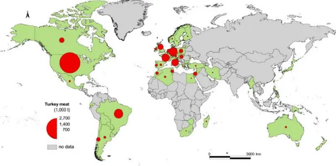 Figura  1.  Produção  de  carne  de  peru  em  termos  mundiais  e  por  países,  no  ano  de  2012