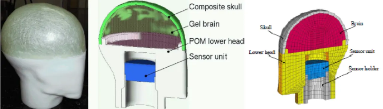 Figure 2.41: Anatomically improved headform. Left: Real model. Middle: Schematic cross- cross-section
