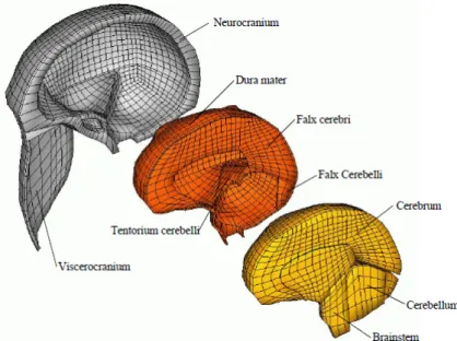 Figure 2.43: FEHM developed by Claessens et al. [221] and transformed by Brands et al.