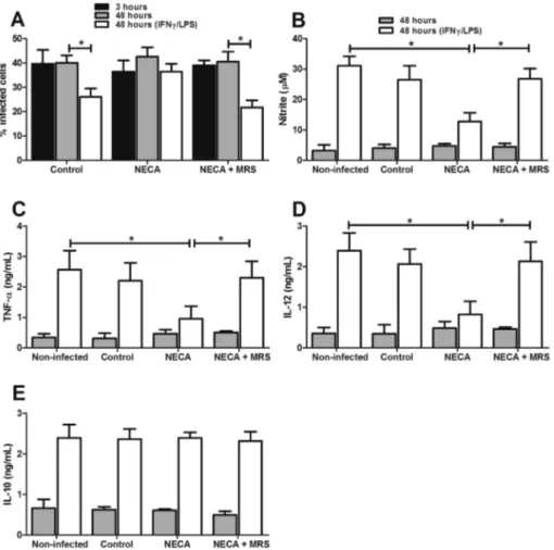 Fig. 5. Infection in the presence of NECA increases survival rates of low-activity parasite in stimulated macrophages