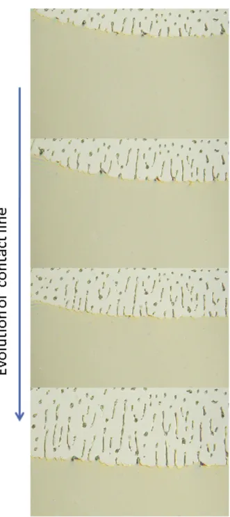 Fig. 4. AFM height image illustrating the stripes fragmentation phenomenon (scales 10 m m  10 m m  50 nm) of SEBS on a mica substrate.