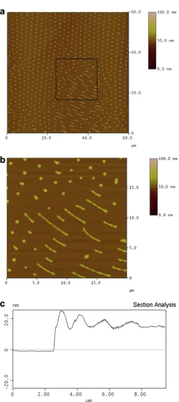 Fig. 8. 3D surface of transition region presented in Fig. 7b, the colour gradient represents height values.