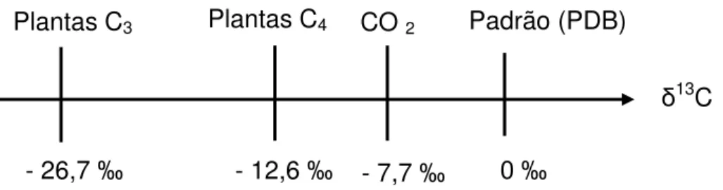 Figura 1. Régua isotópica, com escala em  δ ‰, para o carbono-13 (Ducatti, 2007). δ13C   Padrão (PDB)0 ‰ CO 2 Plantas C4Plantas C3- 7,7 ‰ - 12,6 ‰ - 26,7 ‰ 