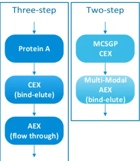 Figure 2.6: Schematic of three-step and two-step processes for monoclonal antibodies purification