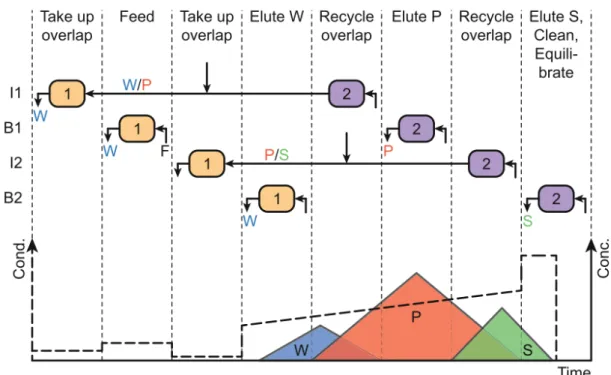 Figure 2.16: Schematic diagram of one switch interval of the two-column MCSGP process.