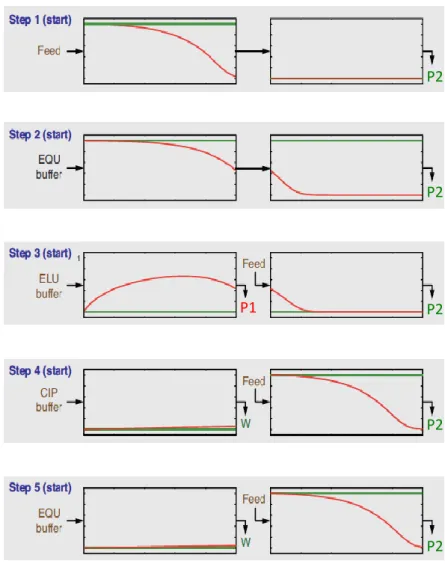 Figure 3.3: First half cycle of a two-column SMB process for capture or flowthrough mode.