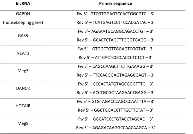 Table 2 - Primers used for lncRNAs expression analysis. 